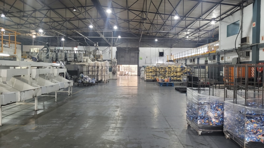 To Let commercial Property for Rent in Epping Industrial Western Cape